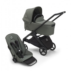Dragonfly Black - Forest Green