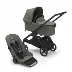 Dragonfly Black - Forest Green