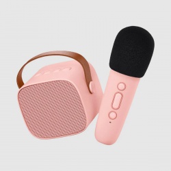 Karaoke set - Rose