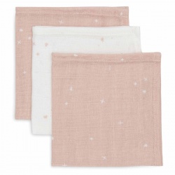 Krpice 3 kom - Twinkling Wild Rose