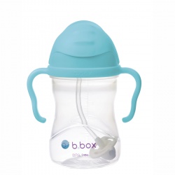 Sippy Cup bočica sa slamkom - Aqua