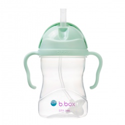 Sippy Cup bočica sa slamkom - Pistachio