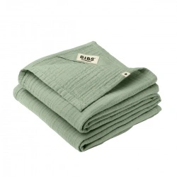 Tetra pelene 2kom - Sage